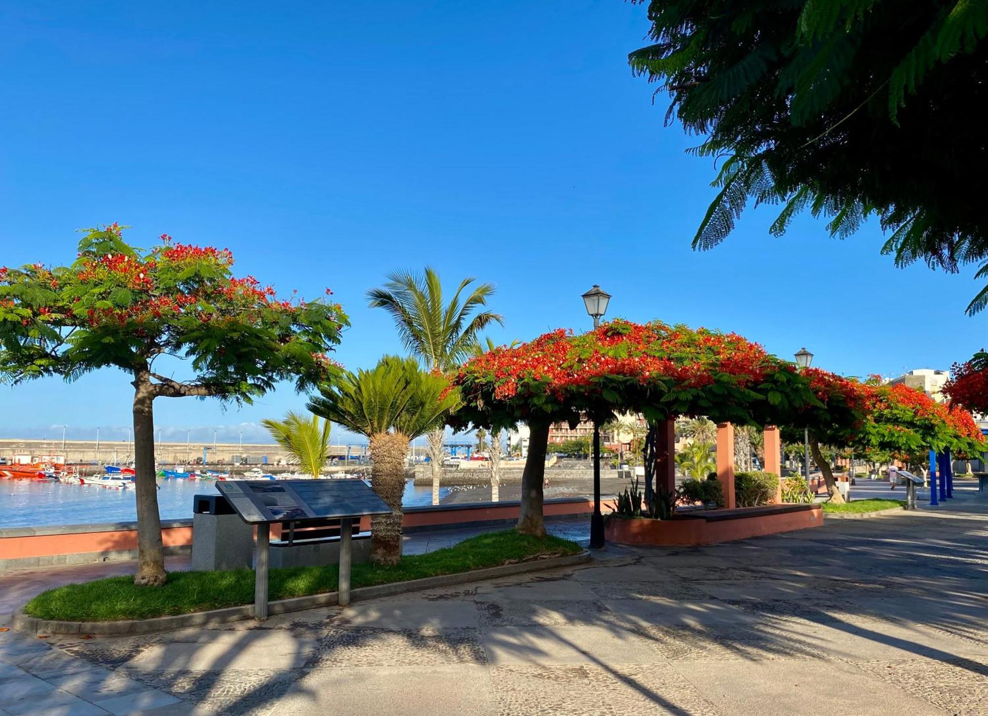Casa Antonio - Apartamento Orion Playa de San Juan  Dış mekan fotoğraf